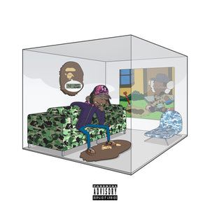 The 6th Letter "A Bathing Ape In A Hotbox" Digital Album